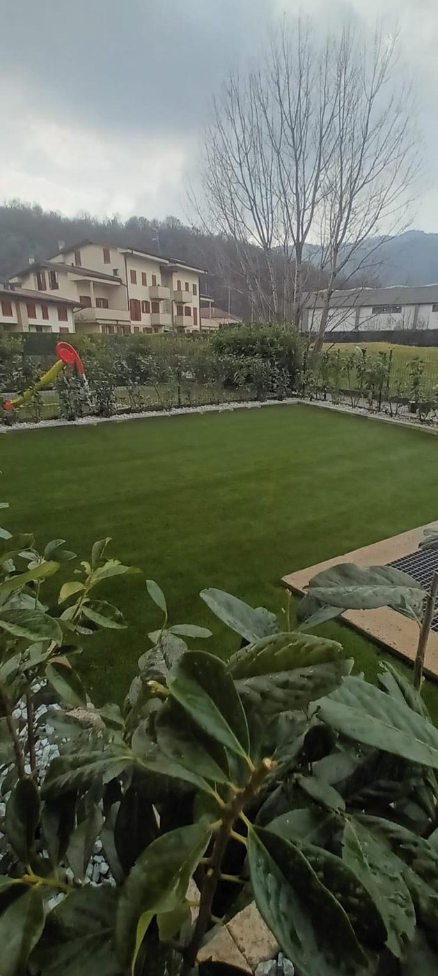 Prato rasato con piante