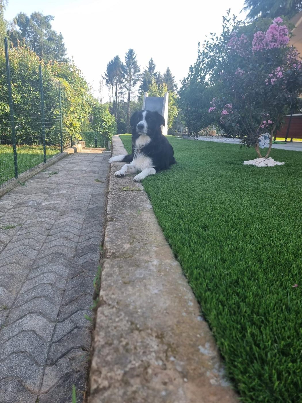 Camminamento in lastre e prato